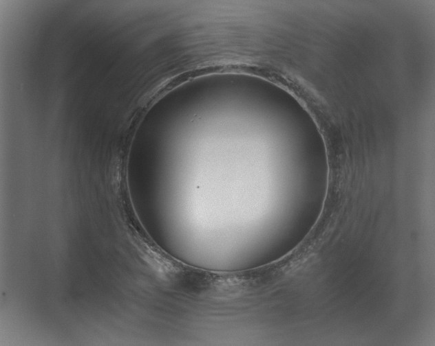 X0000073411169200608040951