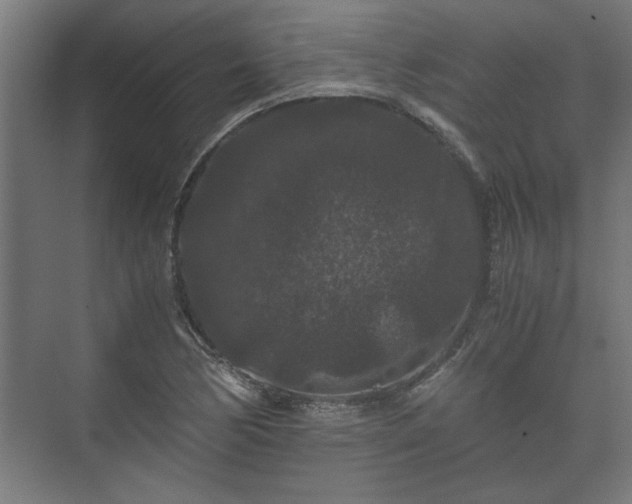 X0000073411170200608040951