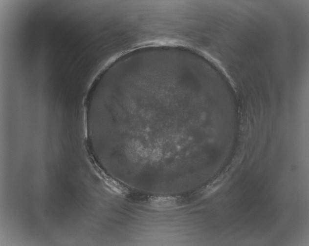 X0000073411171200608040951