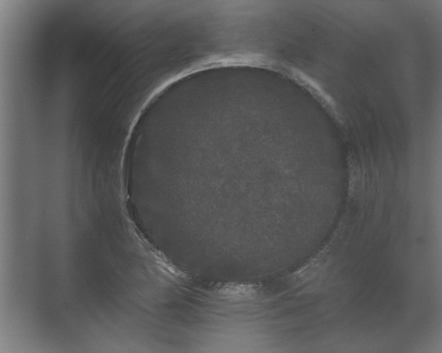 X0000073411174200608040951