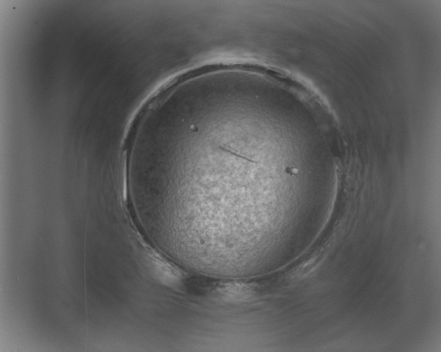 X0000073411175200608040951