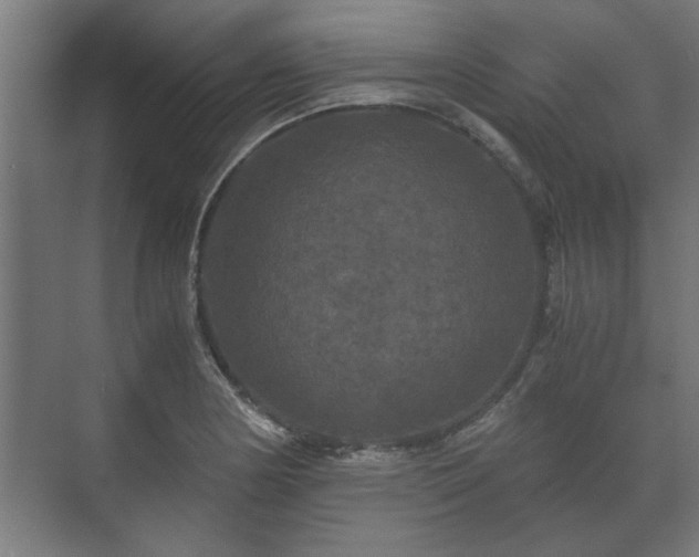 X0000073411178200608040950