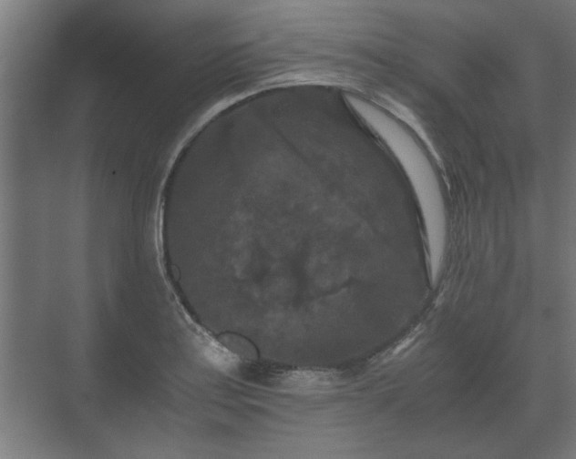 X0000073411179200608040950