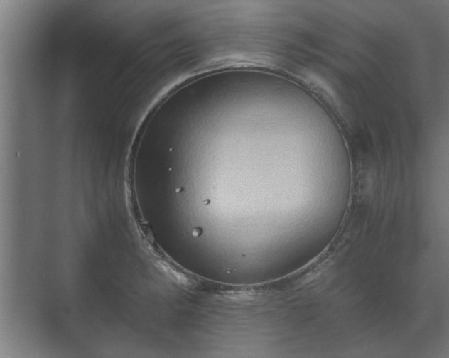 X0000073411182200608040950