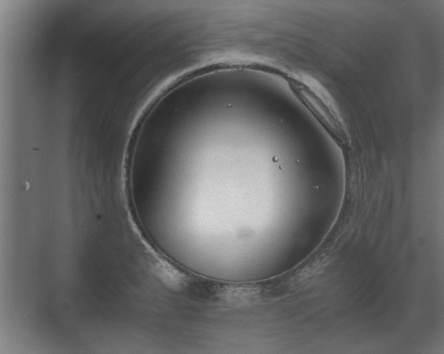 X0000073411183200608040950