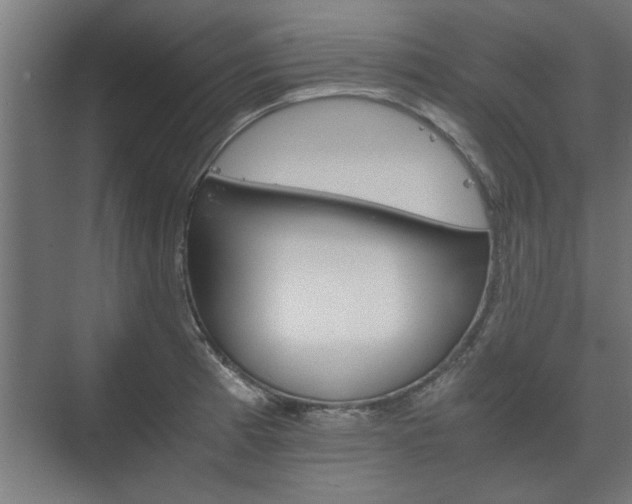 X0000073411185200608040950