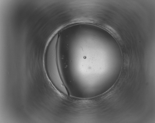 X0000073411188200608040950