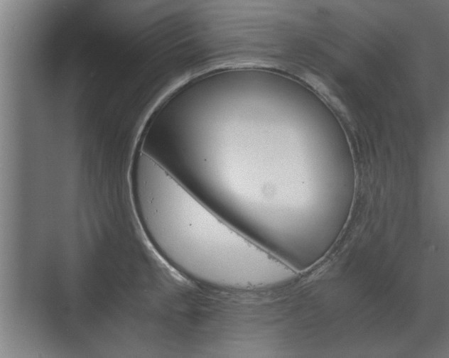 X0000073411189200608040950