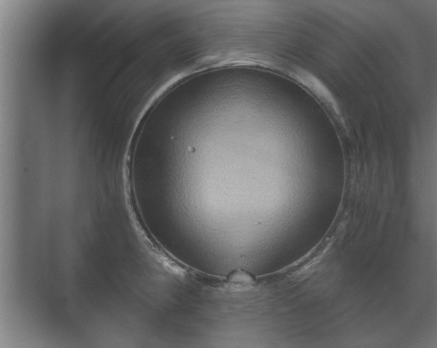 X0000073411190200608040950