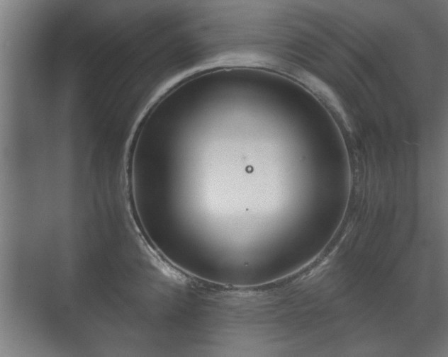 X0000073411192200608040950