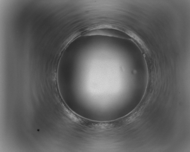 X0000073411193200608040950