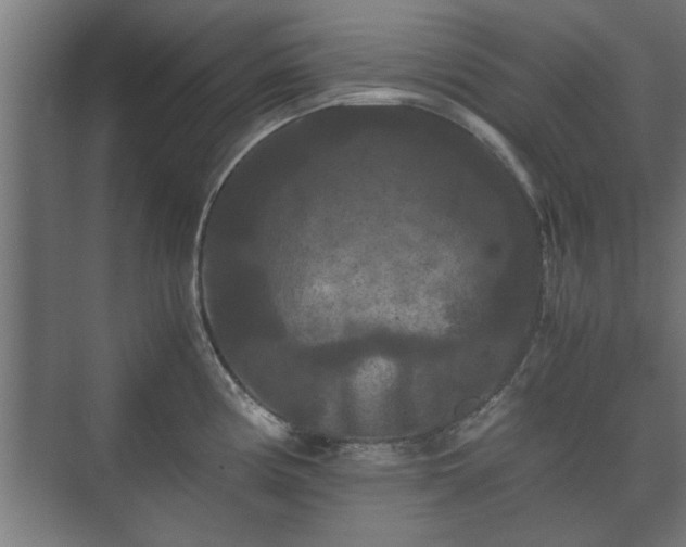 X0000073411194200608040950