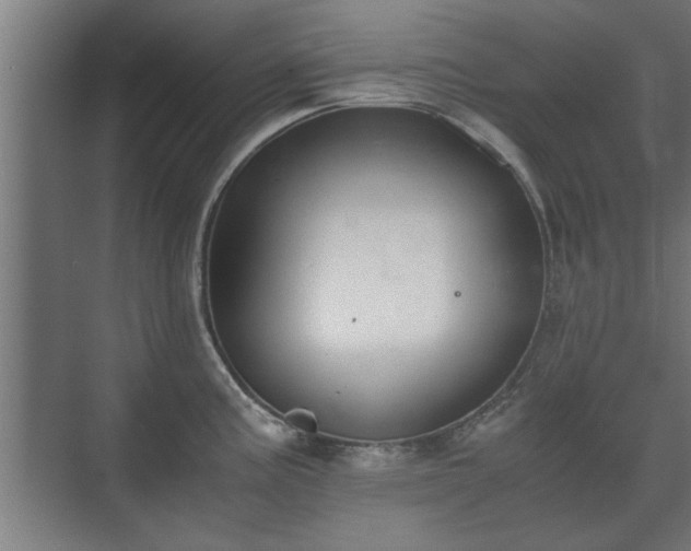 X0000073411195200608040950