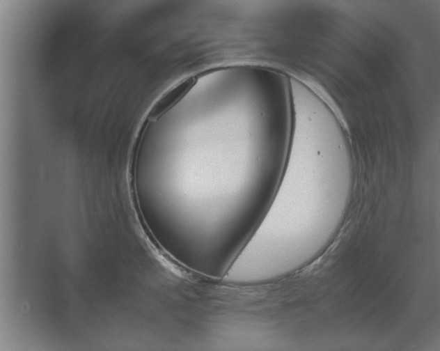 X0000073411197200608040950