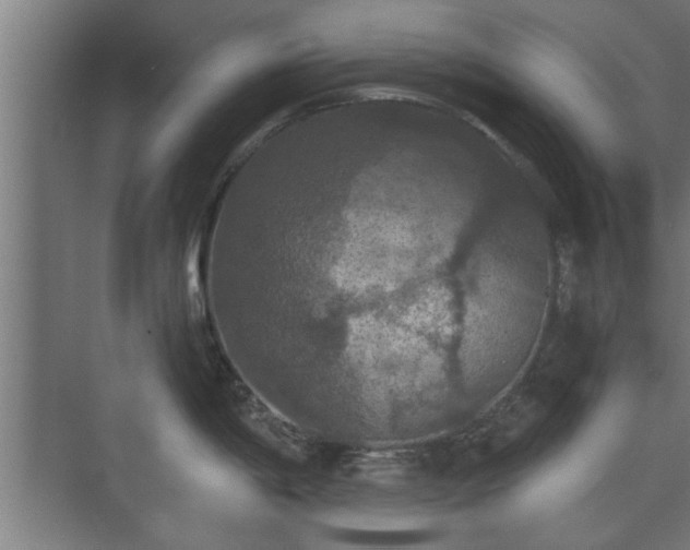 X0000073411198200608040950