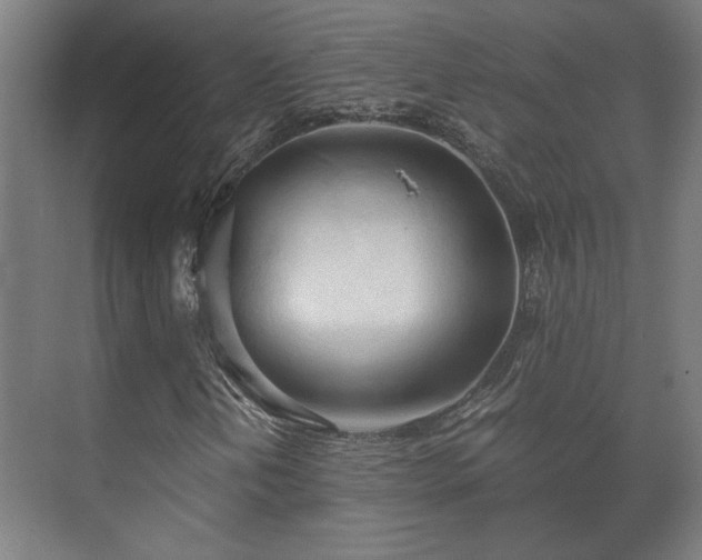 X0000073411202200608040949