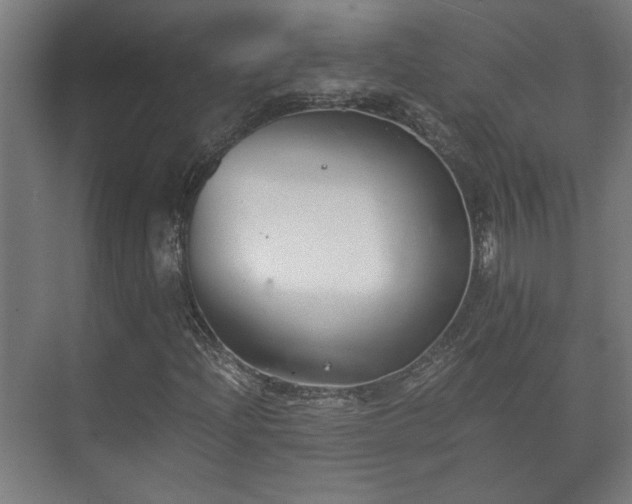 X0000073411204200608040949