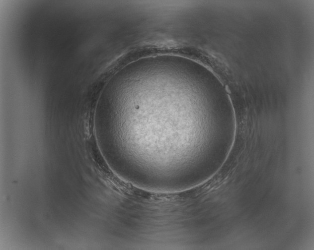 X0000073411205200608040949