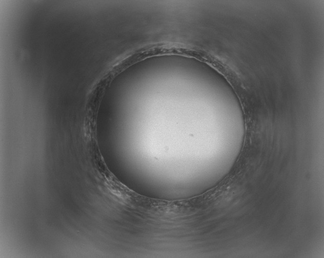 X0000073411207200608040949