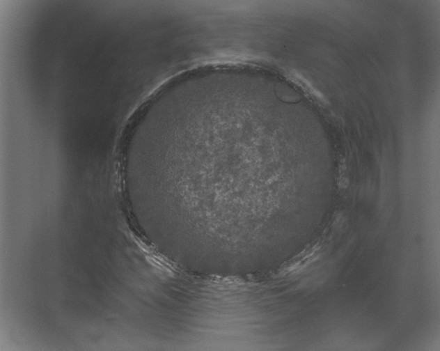 X0000073411208200608040949