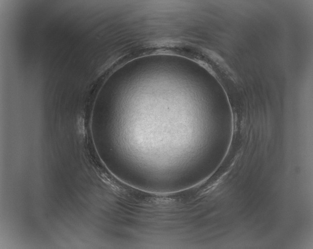 X0000073411209200608040949