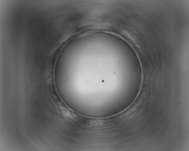 X0000073411211200608040949