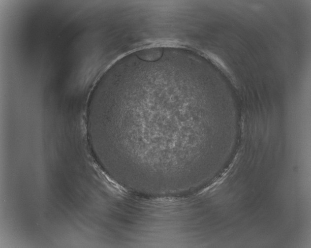 X0000073411212200608040949