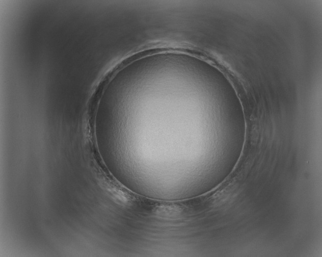 X0000073411215200608040950