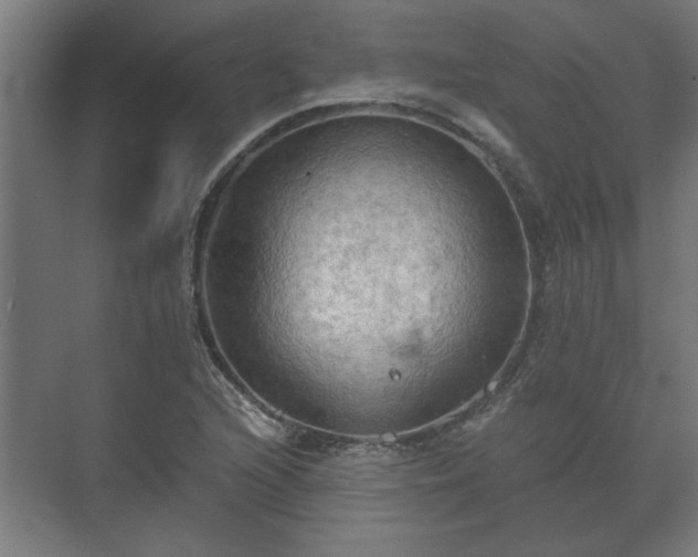 X0000073411216200608040950