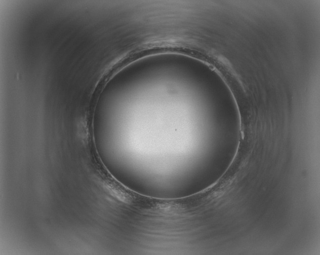 X0000073411218200608040950