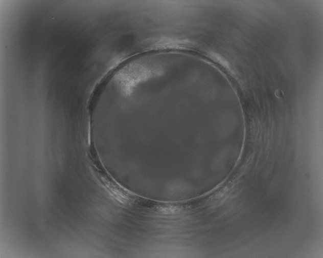 X0000073411219200608040950