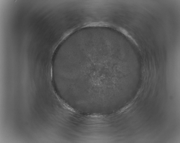 X0000073411221200608040950