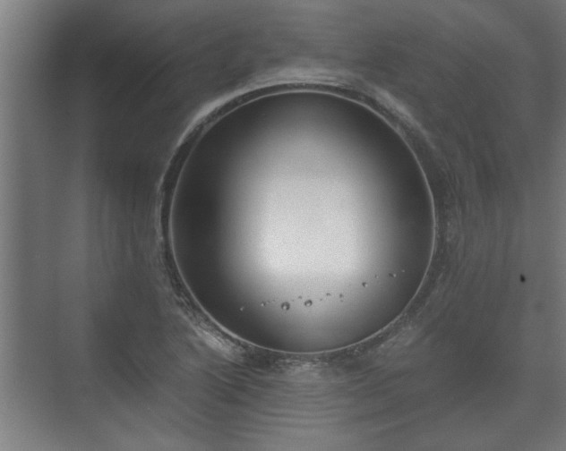 X0000073411222200608040950