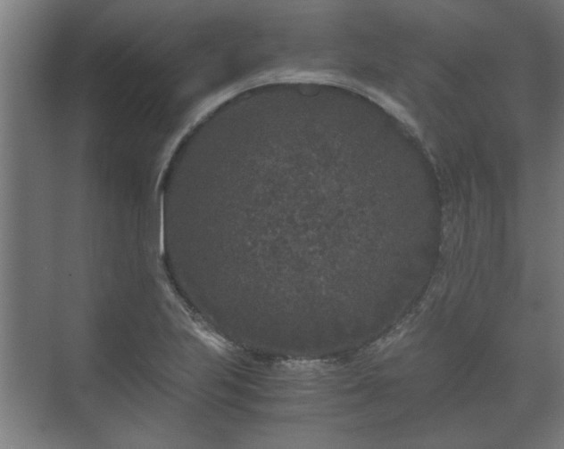 X0000073411223200608040950