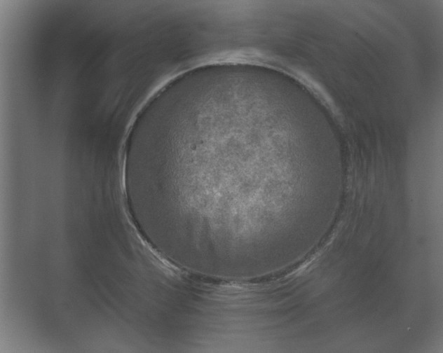 X0000073411224200608040950