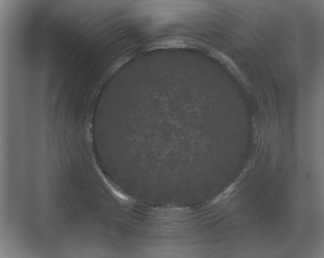 X0000073411225200608040950