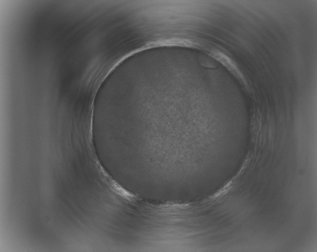 X0000073411228200608040950