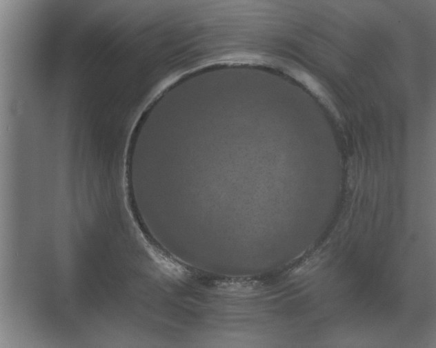 X0000073411229200608040950