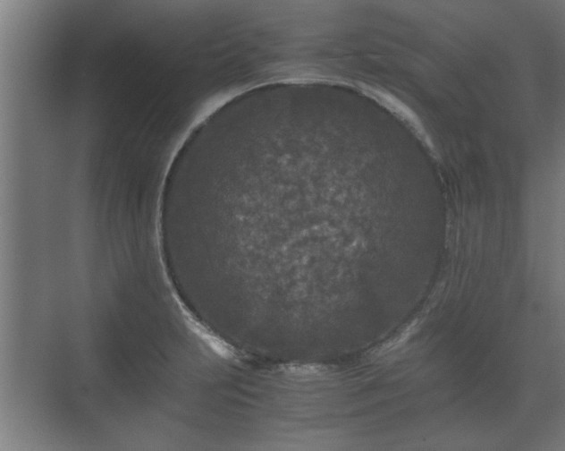 X0000073411231200608040950