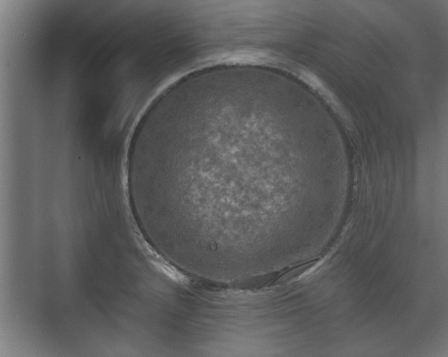 X0000073411232200608040950