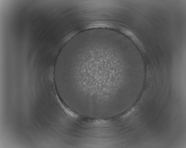 X0000073411233200608040950