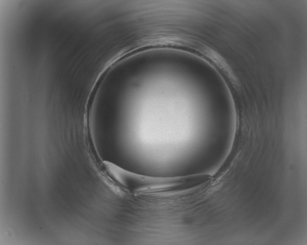 X0000073411234200608040950