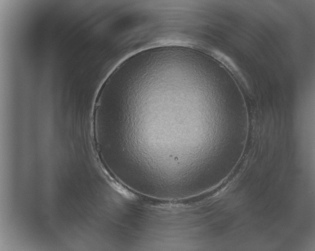 X0000073411236200608040950