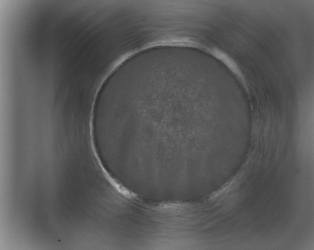 X0000073411237200608040950