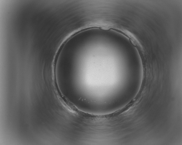 X0000073411238200608040950