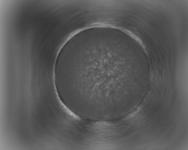 X0000073411239200608040950