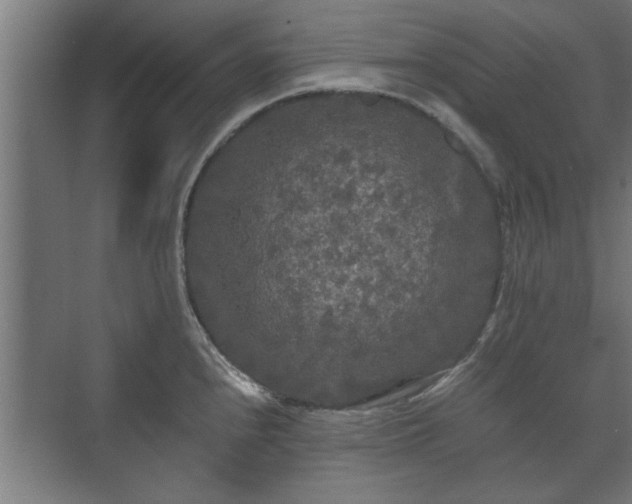 X0000073411240200608040950