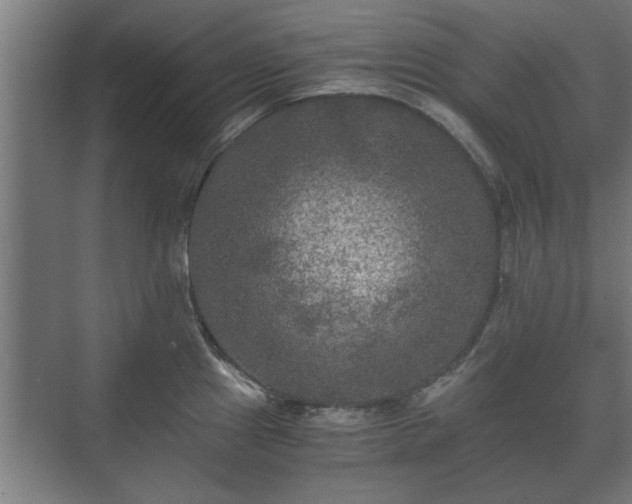 X0000073411241200608040950