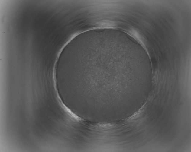 X0000073411243200608040950