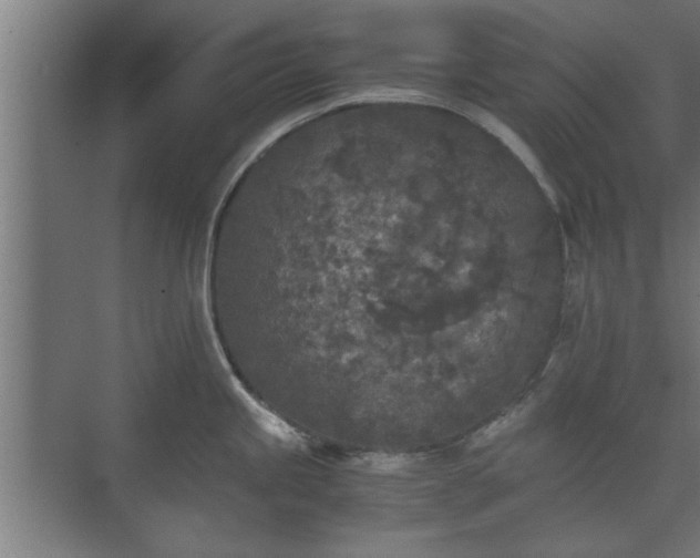 X0000073411245200608040950